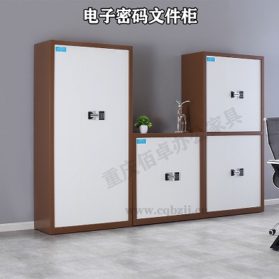 电子保密柜（产品详情参数介绍）|佰卓